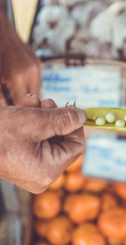 Food & Nutrition Security
